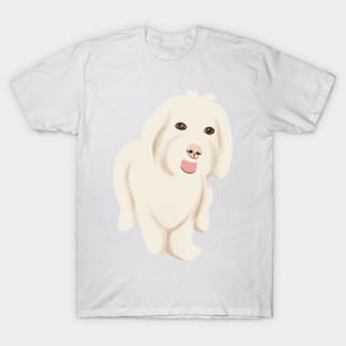 Cute Maltipoo Dog T-Shirt